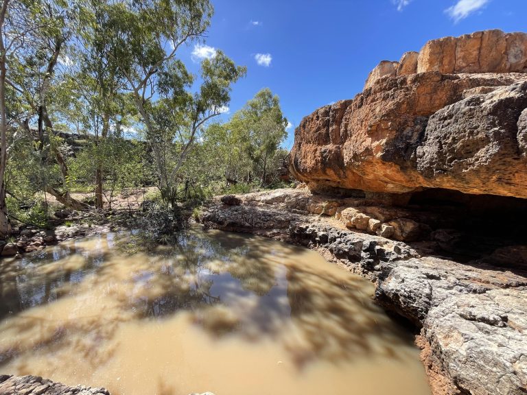 IMG 0209 min 768x576