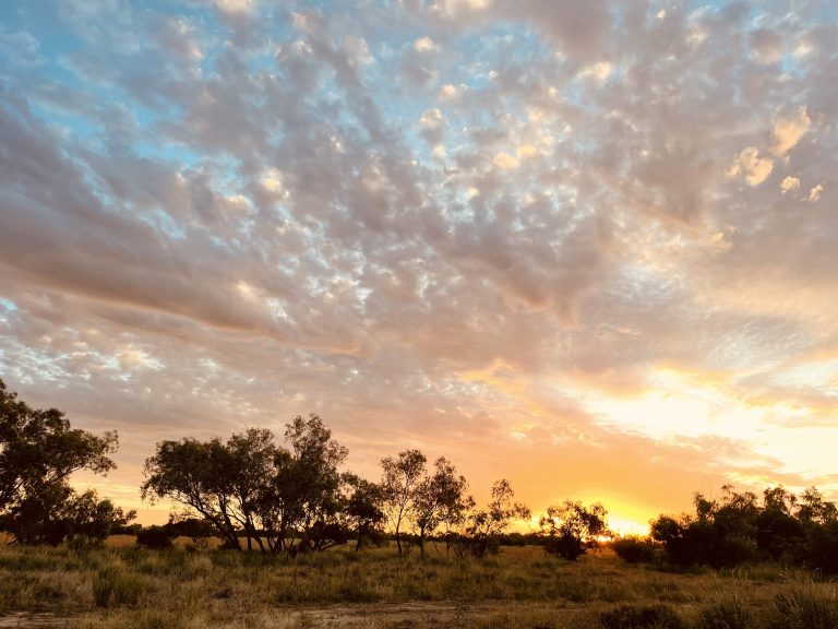 IMG 1052 min 768x576