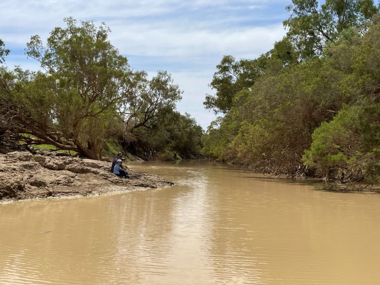 IMG 5098 min 768x576