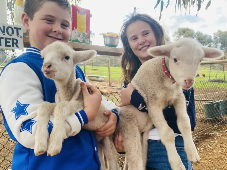 sandalwood downs farm stay toodyay 768x576
