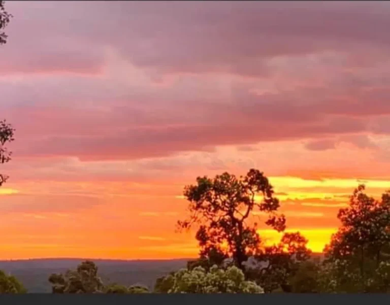 sunset 768x601
