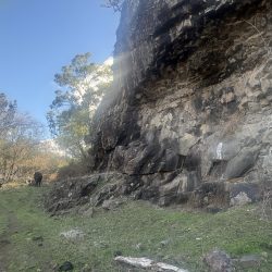 IMG 4523 250x250