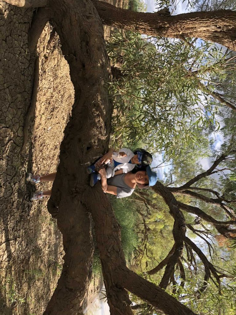 Leah Aussie Farm Stays
